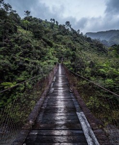Bridge Colombia